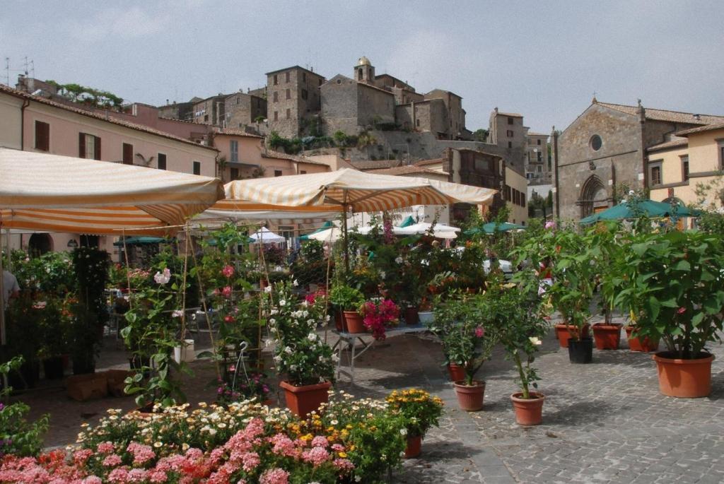 Hotel La Torricella Капальбио Экстерьер фото